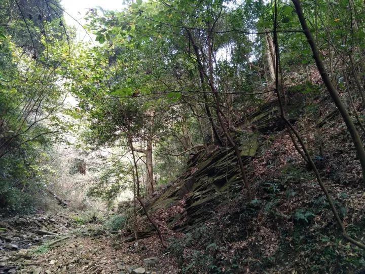 跳出生产车间
